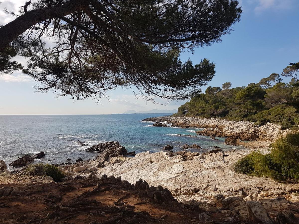Penthouse Antibes Apartment Экстерьер фото